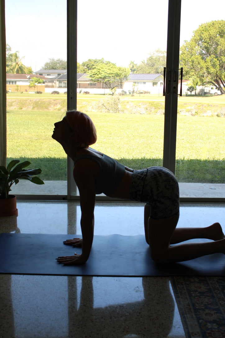 Private Vinyasa — 15-Class Bundle