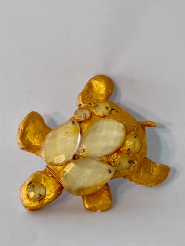 Money Turtle